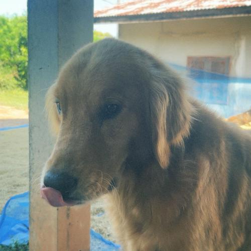 สมาชิกหมายเลข 7907274