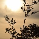 ไพศรพณ์