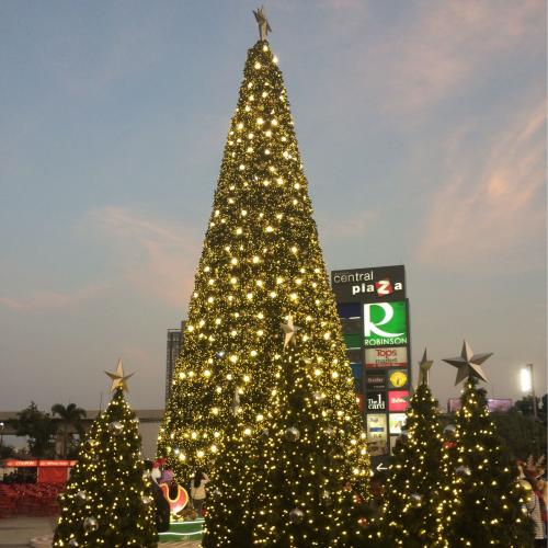 สมาชิกหมายเลข 4158426