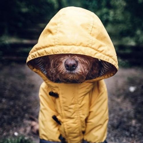 สมาชิกหมายเลข 5051236