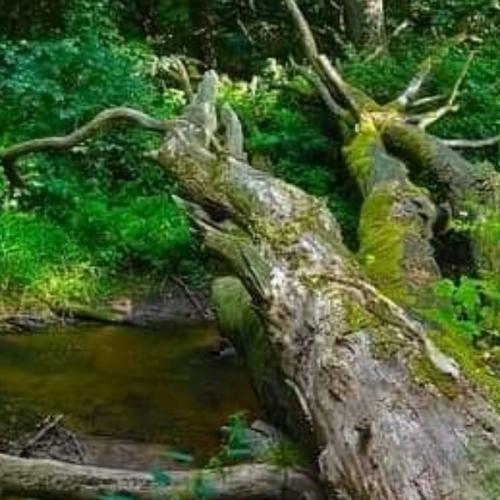 สมาชิกหมายเลข 5614560