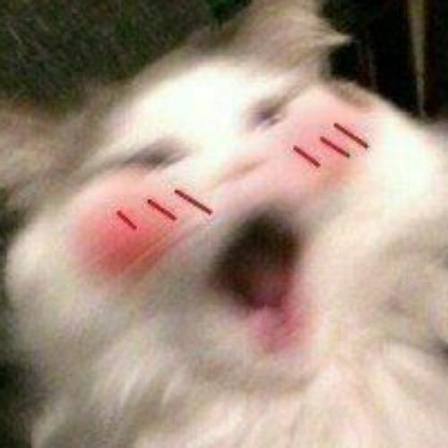 สมาชิกหมายเลข 6322717