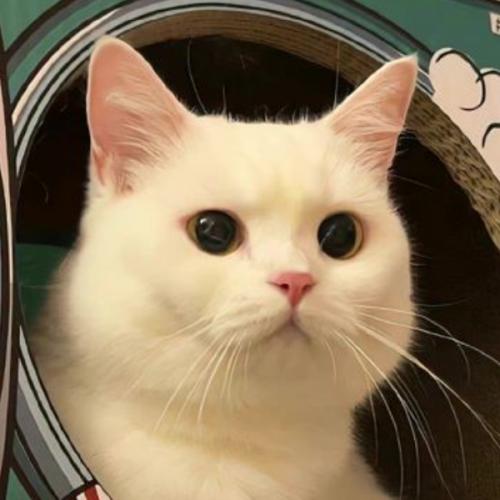 สมาชิกหมายเลข 8129985