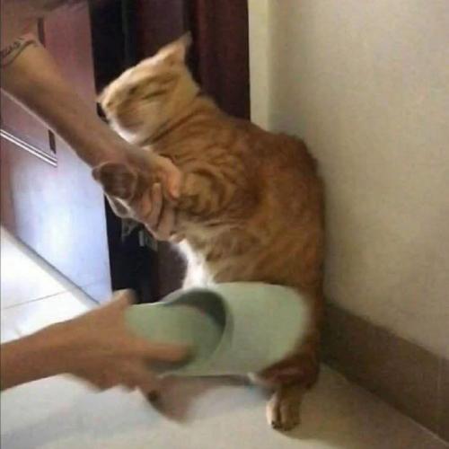 สมาชิกหมายเลข 3794970