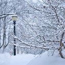 สมาชิกหมายเลข 1638517