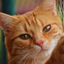 สมาชิกหมายเลข 1766998