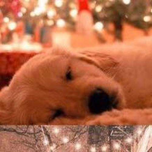 สมาชิกหมายเลข 5051665