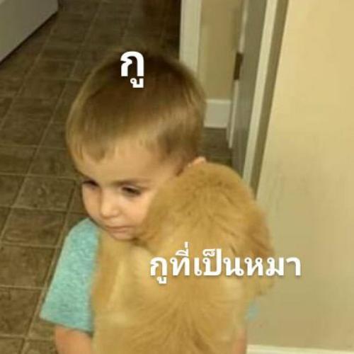 สมาชิกหมายเลข 1366010