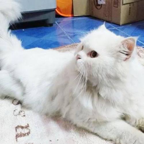 เวลาว่างๆมักจะนั่งมองท้องฟ้า