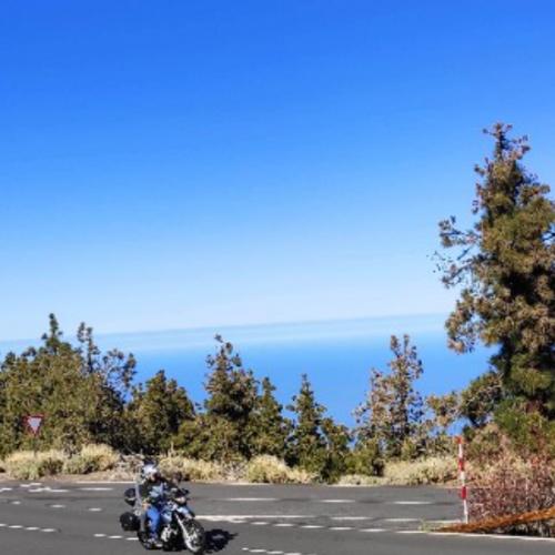 สมาชิกหมายเลข 3201643