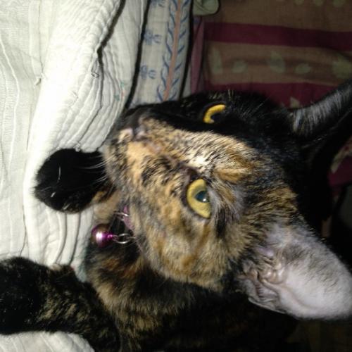 สมาชิกหมายเลข 5742753