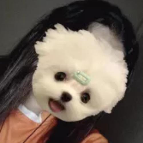 สมาชิกหมายเลข 8131397