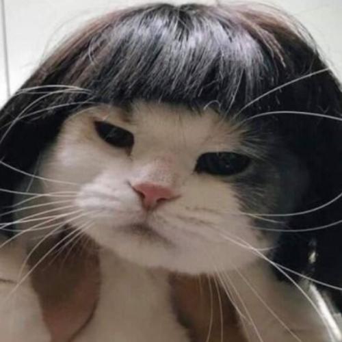 สมาชิกหมายเลข 4627617