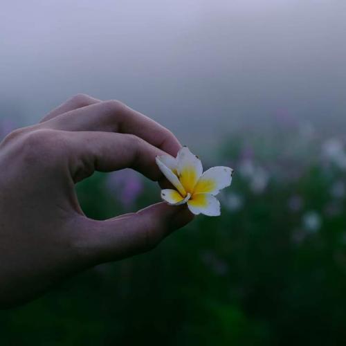 สมาชิกหมายเลข 9171391