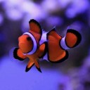 สมาชิกหมายเลข 3843927