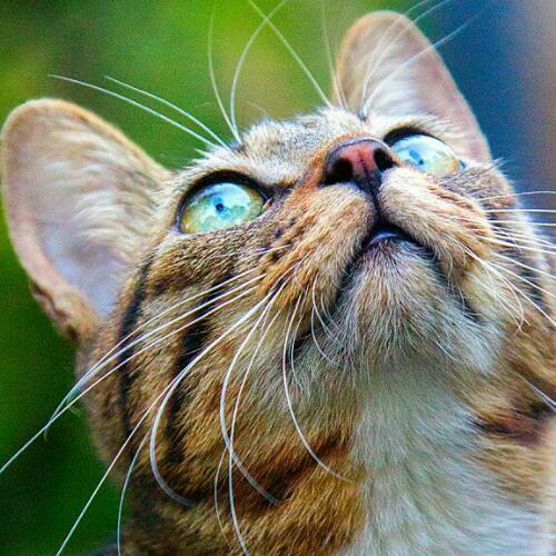 สมาชิกหมายเลข 3151664