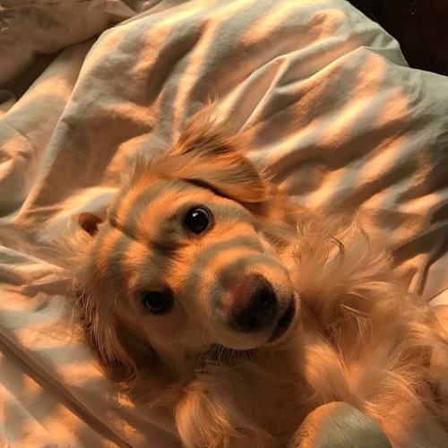 สมาชิกหมายเลข 5052126