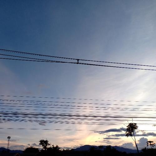 สมาชิกหมายเลข 5445485