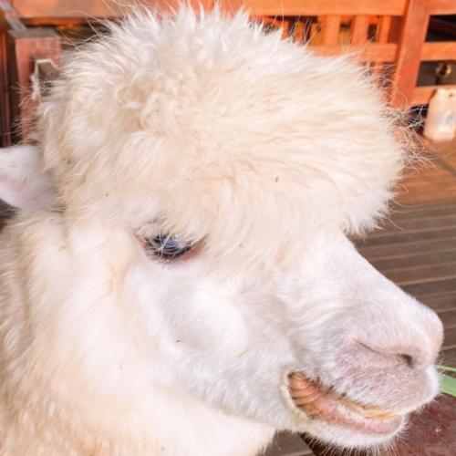 สมาชิกหมายเลข 5964402