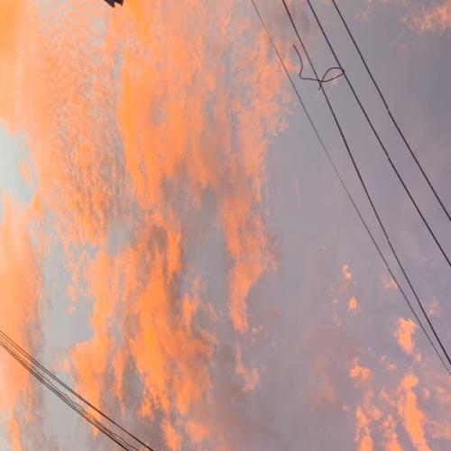 สมาชิกหมายเลข 6572131