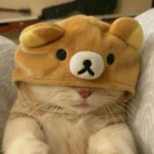 สมาชิกหมายเลข 6572364