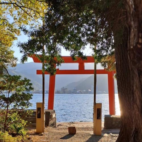 สมาชิกหมายเลข 3060332