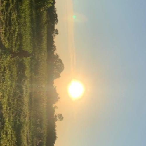 สมาชิกหมายเลข 4578511