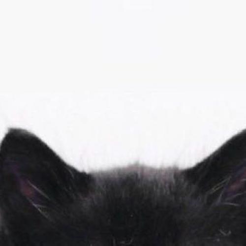 สมาชิกหมายเลข 9172406