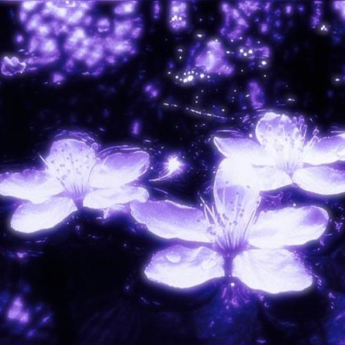 สมาชิกหมายเลข 9173040