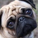 สมาชิกหมายเลข 3202805