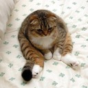 สมาชิกหมายเลข 1578407