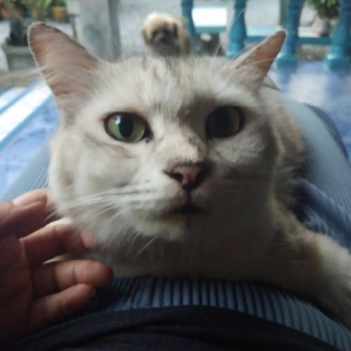 สมาชิกหมายเลข 2743522