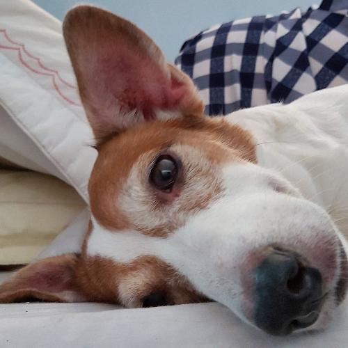 สมาชิกหมายเลข 2586624