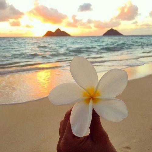 สมาชิกหมายเลข 4275634