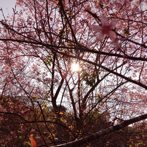 สมาชิกหมายเลข 5445757