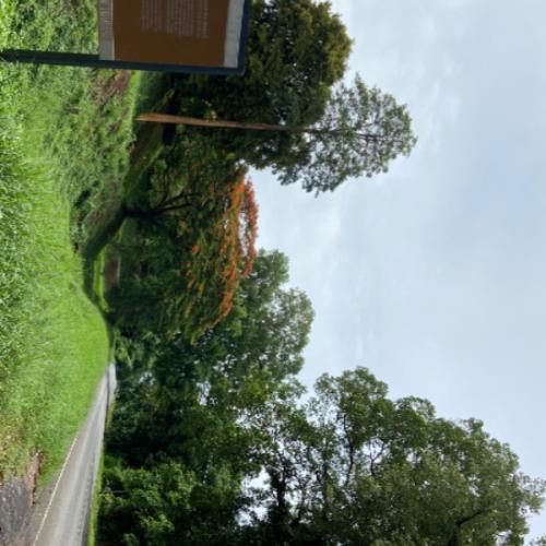 สมาชิกหมายเลข 2167710