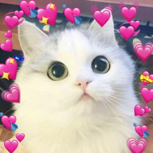 สมาชิกหมายเลข 5482793