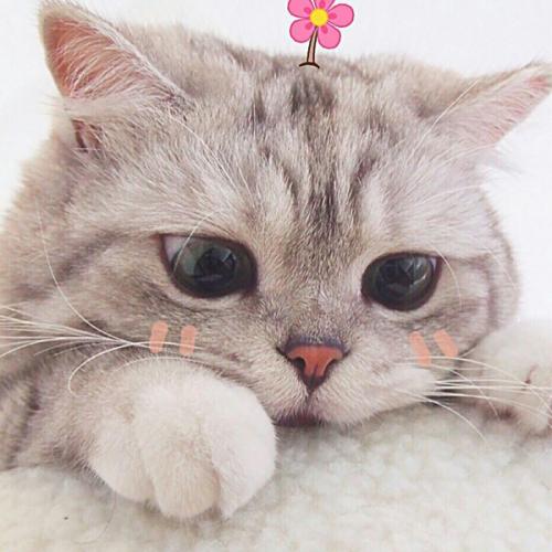 สมาชิกหมายเลข 5965849