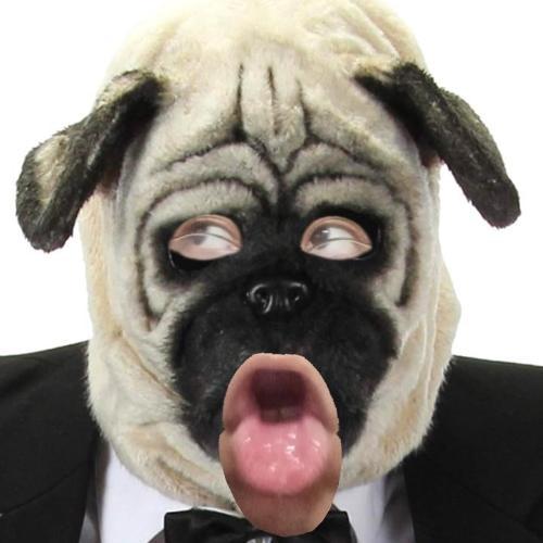 สมาชิกหมายเลข 6572600