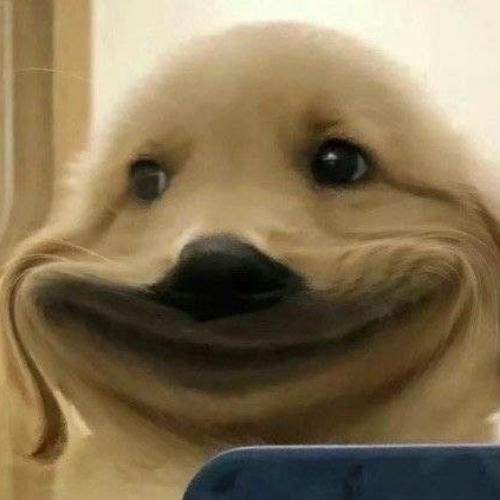 สมาชิกหมายเลข 6557735