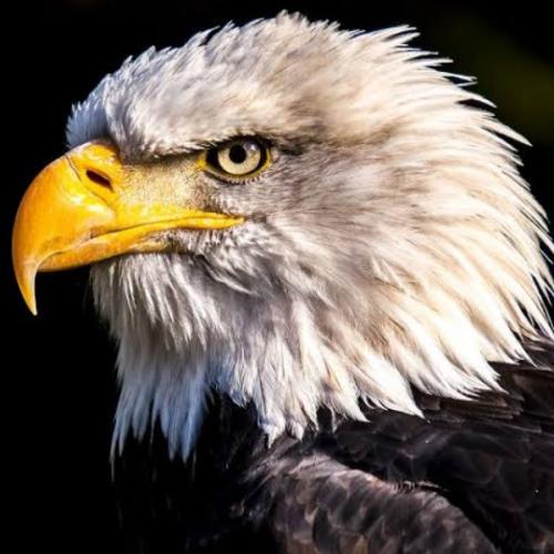 สมาชิกหมายเลข 3622255