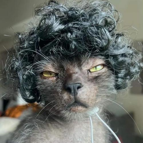 สมาชิกหมายเลข 7929551