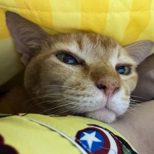 สมาชิกหมายเลข 1435031