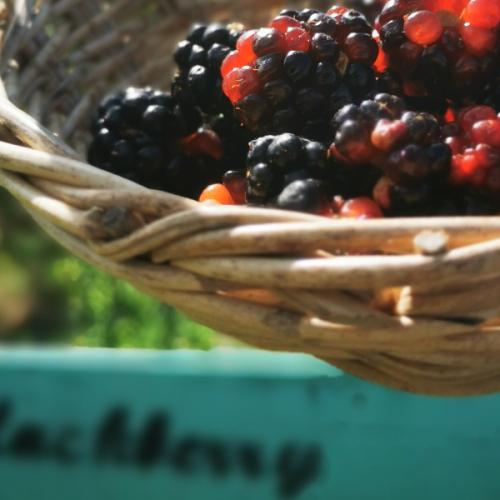 สมาชิกหมายเลข 5940741