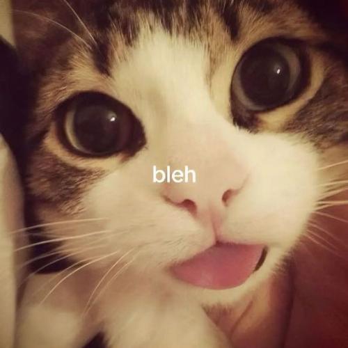 สมาชิกหมายเลข 7203646