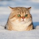 สมาชิกหมายเลข 3423285