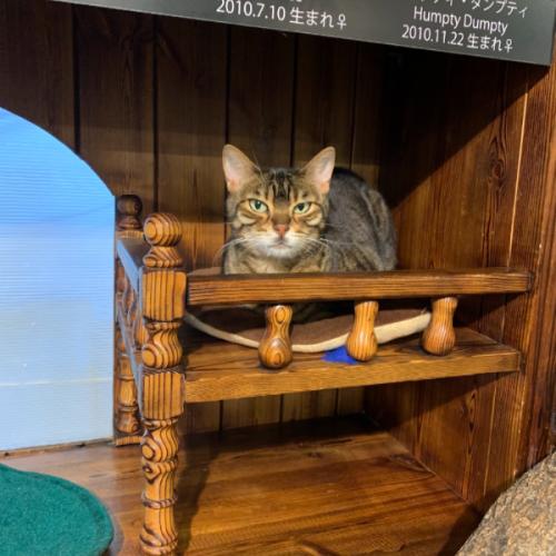 สมาชิกหมายเลข 5052990