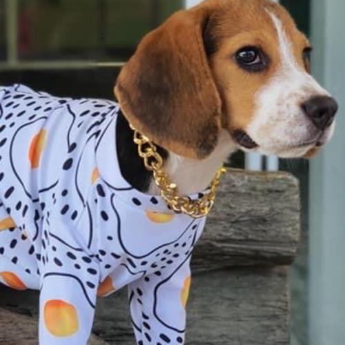 สมาชิกหมายเลข 5454569