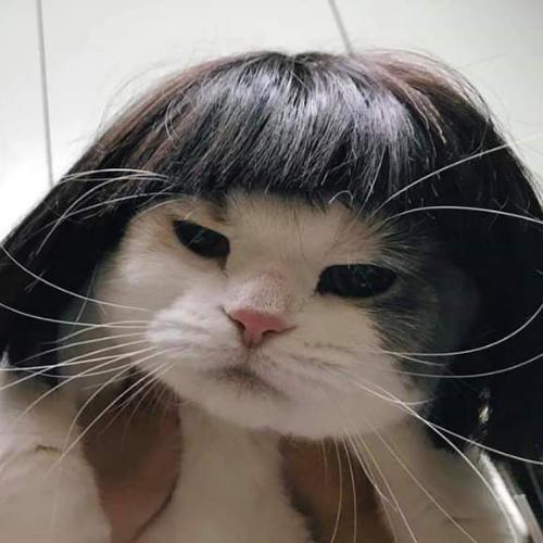 สมาชิกหมายเลข 4326788