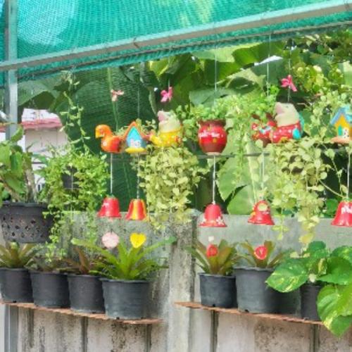 สมาชิกหมายเลข 6489330